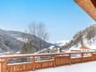 Chalet La Tanière de l'Ours - panoramic view